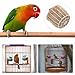 INOOMP Bird Nest Plastic Breeding and Hatching Bowl 2.91X2.91X2.75In Small Nest for Parrots Pigeons Parakeets Cage Accessories