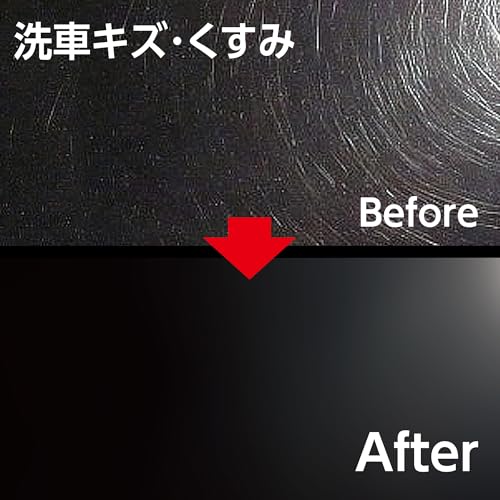 ソナックス カーワックス カラーWAX ブラック 298200