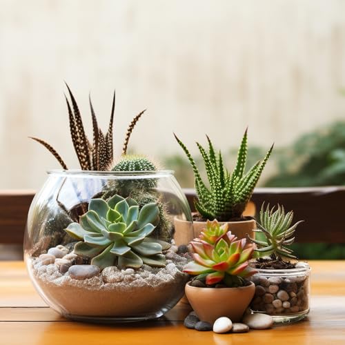 Whanley L&Q 505332 5 Lbs Natural River Rocks 2-3 Inch Polished Pebbles Decorative Stones Landscape Rocks Pebbles For Indoor Plants Rocks For Landscaping Outdoor Rocks thumb #6