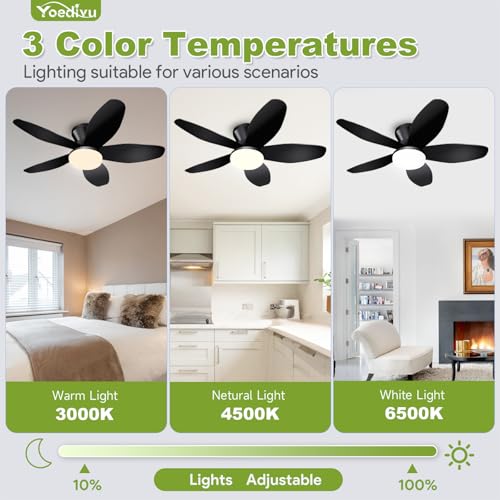 Image of Ceiling Fans with Lights - 35 Inch Small Low Profile Ceiling Fan and Remote,Flush Mount Ceiling Fan with 5 Reversible Blades 6 Wind Speeds, Black Modern Ceiling Fans for Bedroom Kitchen