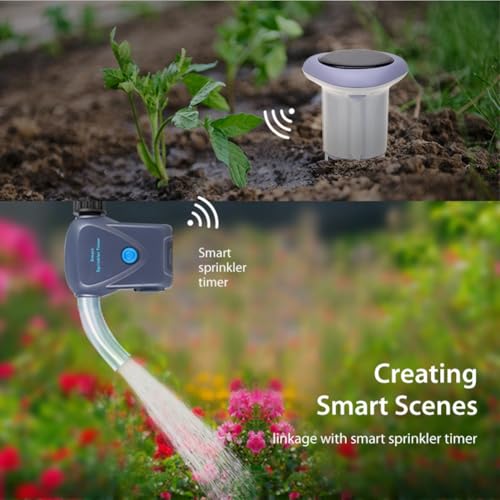 Capteur de Sol Solaire Zigbee Tuya Smart Température Humidité