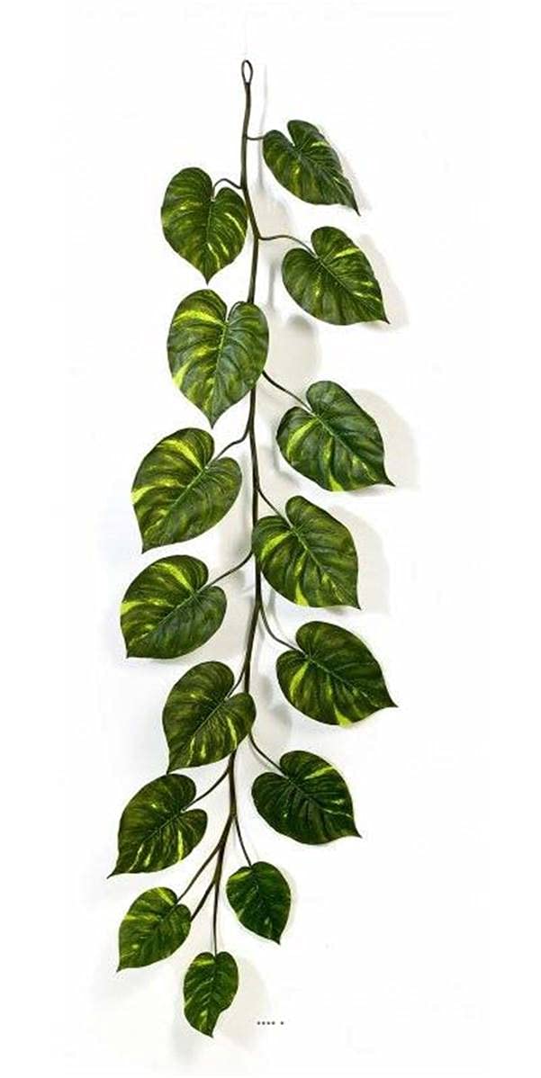 Ghirlanda di foglie di pothos H 230 cm larghezza 70 cm