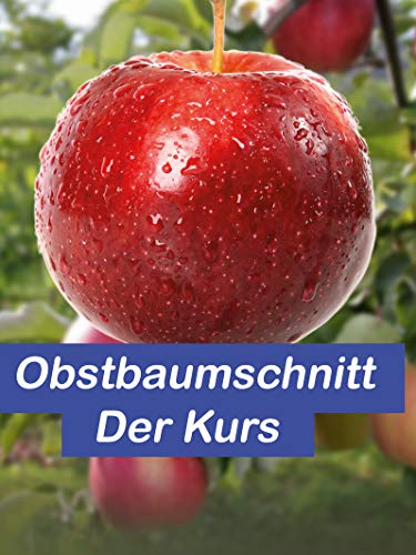 Obstbaumschnitt Der Kurs