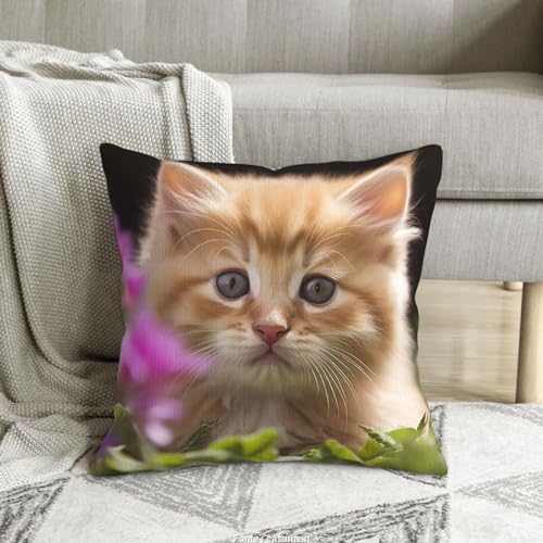 Housse de coussin chat en velours côtelé 45x45 cm pour canapé - 8