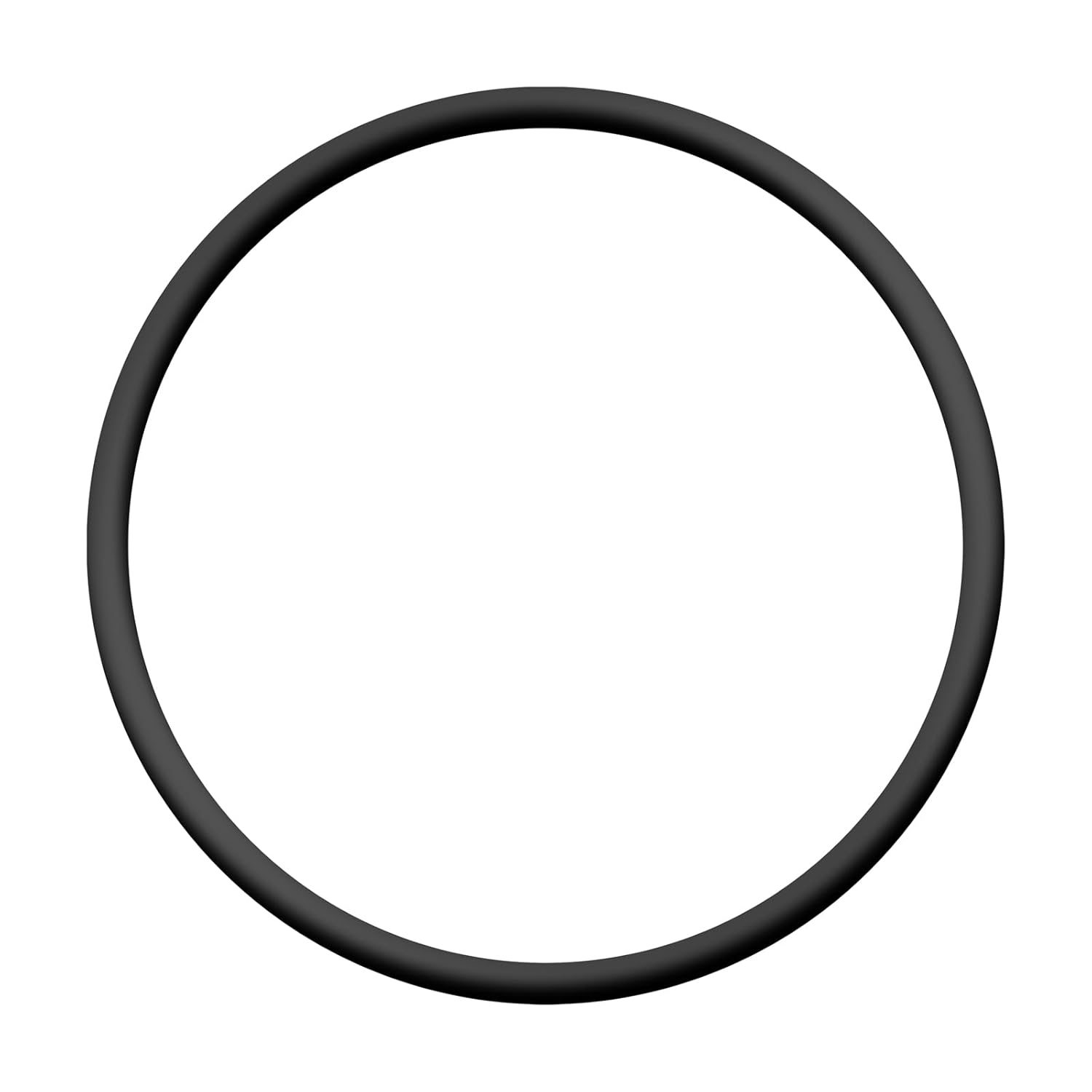 Repuesto O-Ring Pentair SuperFlo Sta-Rite 1/Pack