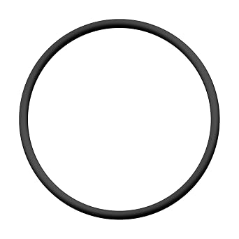 354533 Strainer O-Ring Lid Replacement for Pentair Sta Rite Dynamo Aboveground Swimming Pool Pump 1/Pack