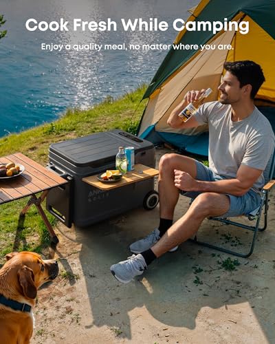 Image of Anker SOLIX EverFrost 2 Hook-On Tray