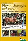 Physiotherapie für Pferde
