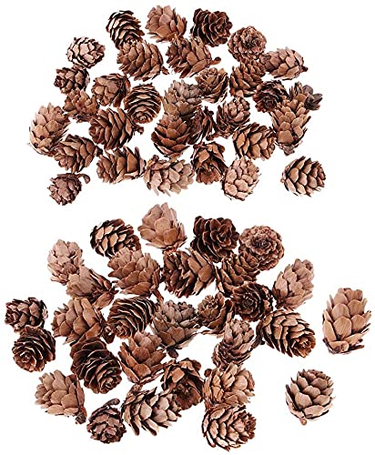 60 peças/peça enfeites de mesa em cone de pinho naturalmente seco a granel