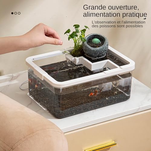 Décoration de table basse avec aquarium connecté USB pour bureau zen - 4
