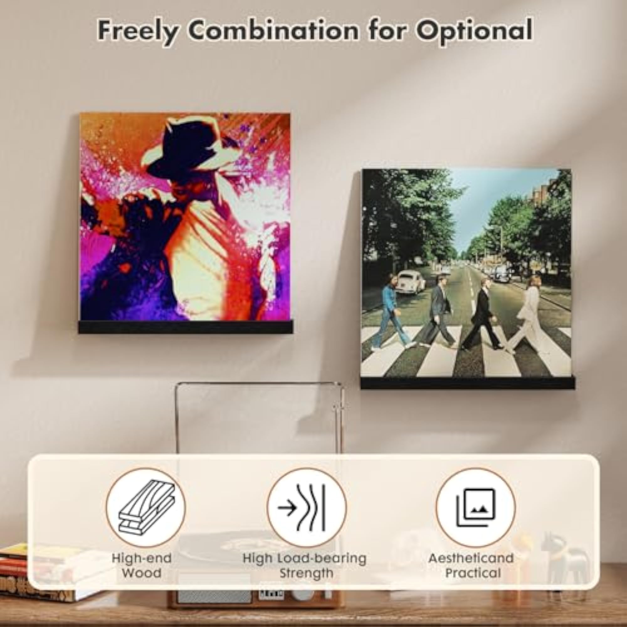 Vinyl Record Shelf for Wall Mount
