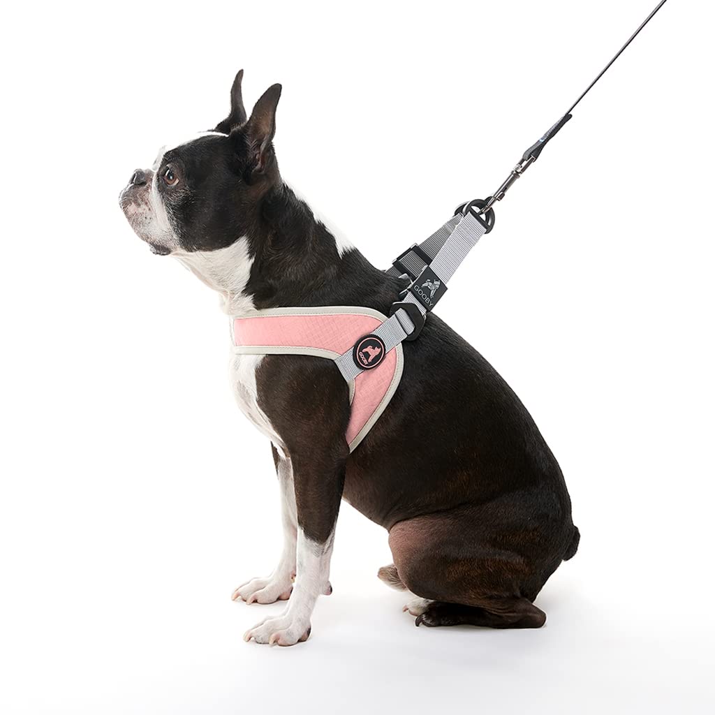 STELLA STORE Yahoo Pioneer 店Gooby Headin Harness Handle Control