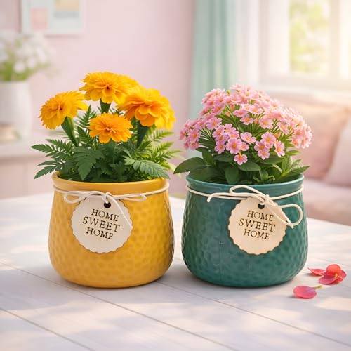 Image of Xtore Vibrant Textured Ceramic Planter Set of 2 with Wooden Tag Accent | Rustic Decorative Pots for Indoor Plants, Desk & Shelf Styling (Pack of 2, Planter only)