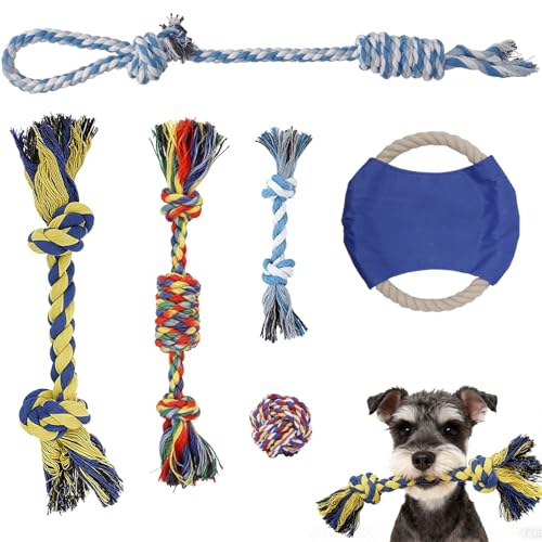 JINGIHE p[vgC ^я^p 6pbN C^NeBu銚ނ Zۂ Ȏ| j ϋɓIȊސl nCANeBuq