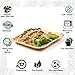 ecorasa - Areca Palm Leaf Plates - Eco-friendly, Bio-degradable, Disposable plates - Elegant and Sturdy Plates for Special Events like Wedding, Camping, Hiking - Pack of 25 - (6
