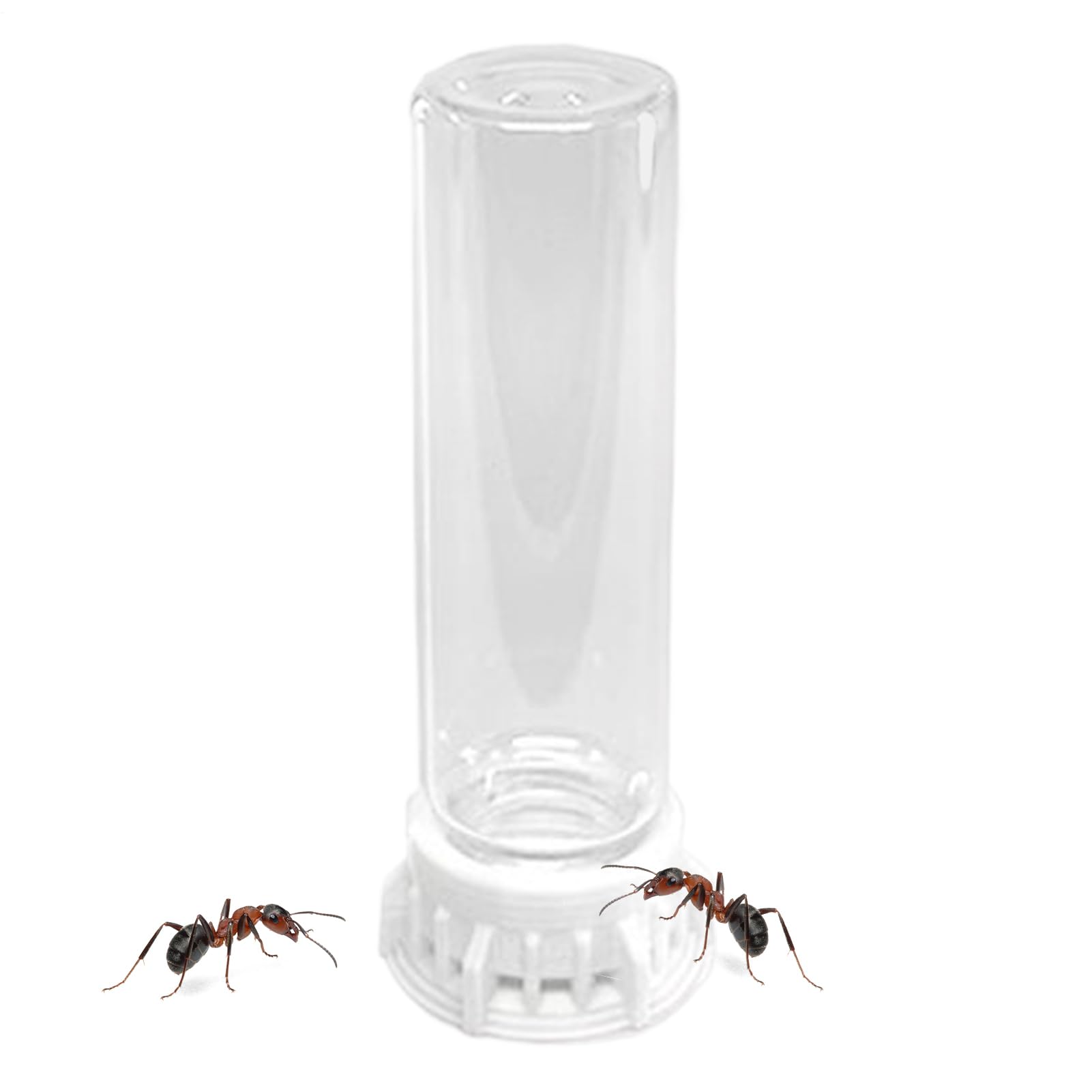 Distributeur d'eau pour Fourmis,Nourrisseur Liquide pour Petits Animaux - Accessoires Anti-Fuite pour Fourmilière Portable, Station d'alimentation Robuste pour Nid D'intérieur