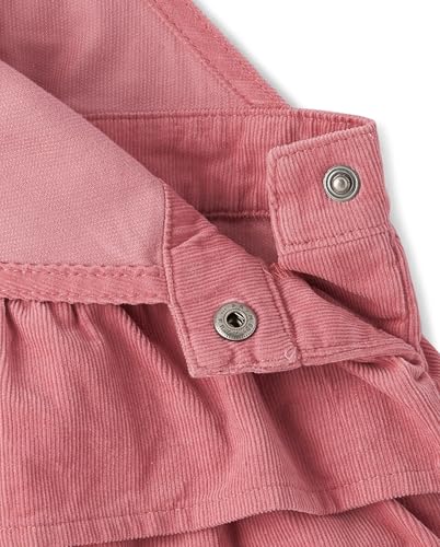 Gymboree Baby Girls' and Toddler Skirtall Dresses2