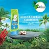 Vatika Naturals Moisturizing Conditioner - Hydrating Conditioner for Dry, Damaged & Frizzy Hair - Deep Nourishment with Natural Ingredients & Henna - Strengthens & Shines - Coconut - 400ml