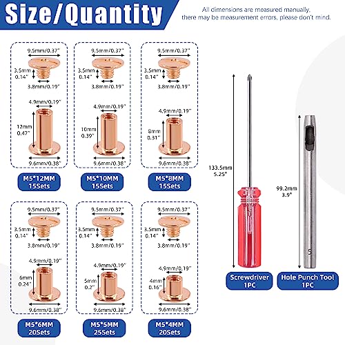 Glarks 110 Sets 6 Sizes Chicago Screws Leather Rivets with Punch and Screwdriver Kit - Image 2