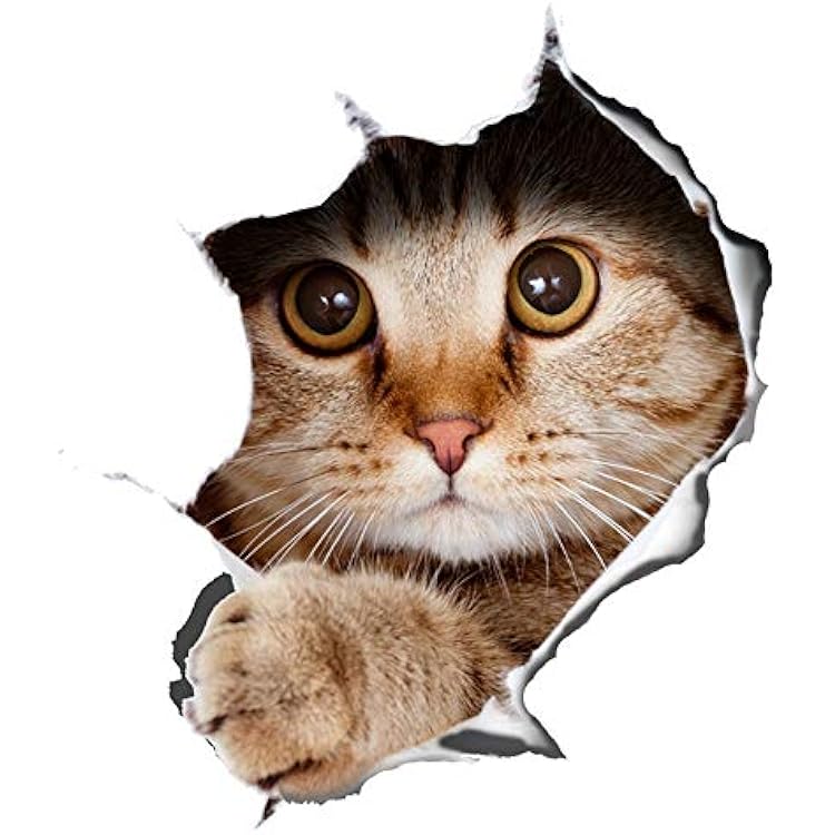 Jinsiy aloqa paytida rus tilidagi suhbatlarni tomosha qiling