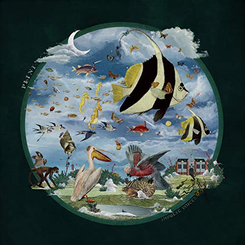 Impulse Voices Impulse Voices