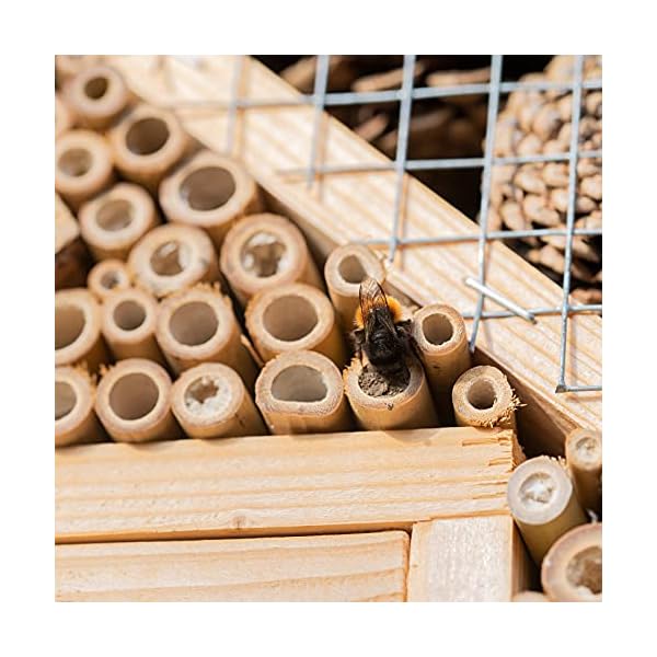GARDIGO® Insektenhotel XXXL Made in Germany, Hergestellt in einer sozialen Einrichtung I Insektenhaus für den Garten I… – Bild 7