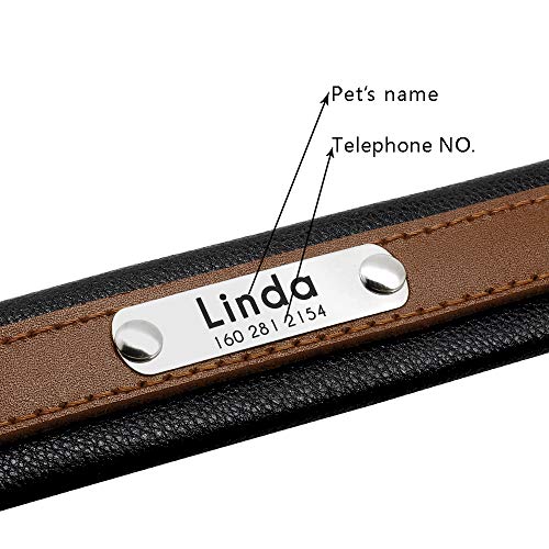 Pet Artist Studded Brown Leather Dog Collar With Name Plate - Personalized Leather Dog Collars For Large Dogs - Free Engraved With Id Tags, M(Neck 12-16.5") #TOP1