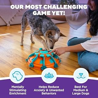 Outward Hound by Nina Ottosson Tower of Treats Level 4 Expert Dog Treat Puzzle for Enrichment, Orange