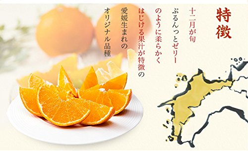 はちやフルーツ 紅まどんな 4L~Lサイズ 2.5kg みきゃん箱入り 愛媛県産 の商品画像 3