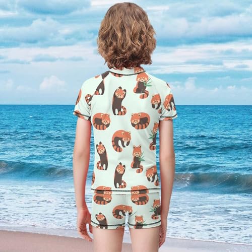 Cute Red PandasChildren's Swimsuits Boys Two Piece Suit10-12Y（150cm）2