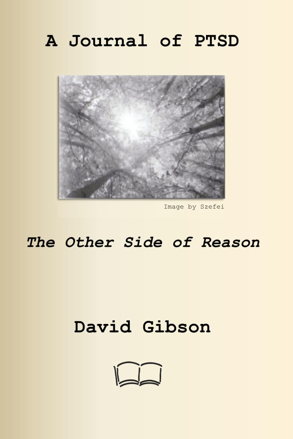 A Journal of PTSD: The Other Side of Reason
