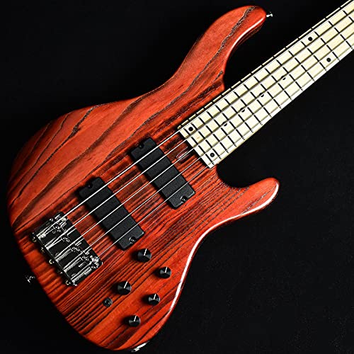 [特価]Bacchus TF5-STD-ASH 5弦ベース TF5-STD ASH | Deviser ｜株式会社ディバイザー｜長野県松本市の