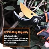 Zoom IMG-2 feinkulturia forbici da potatura manuali Zoom IMG-2 feinkulturia forbici da potatura manuali