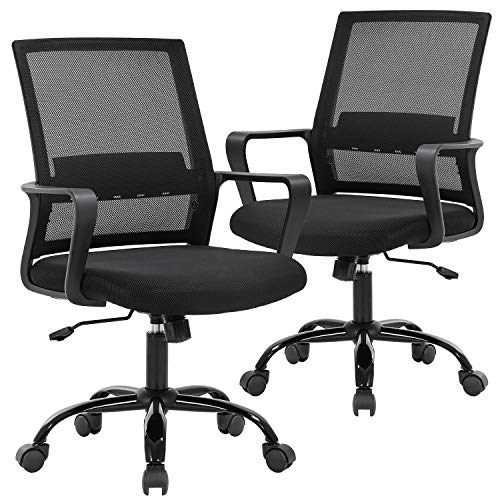 Office Chair Desk Chair Computer Chair Swivel Rolling Executive Lumbar Support Task Mesh Chair Metal Base for Women&Men 2 Pack