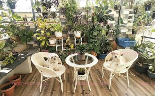 Image of India 2+1 Outdoor Indoor Patio Furniture Sets Rattan Chair Patio Set Conversation Set Bistro Set Lawn Chairs Balcony Outdoor Garden Furniture Chair Set (Cream Color)