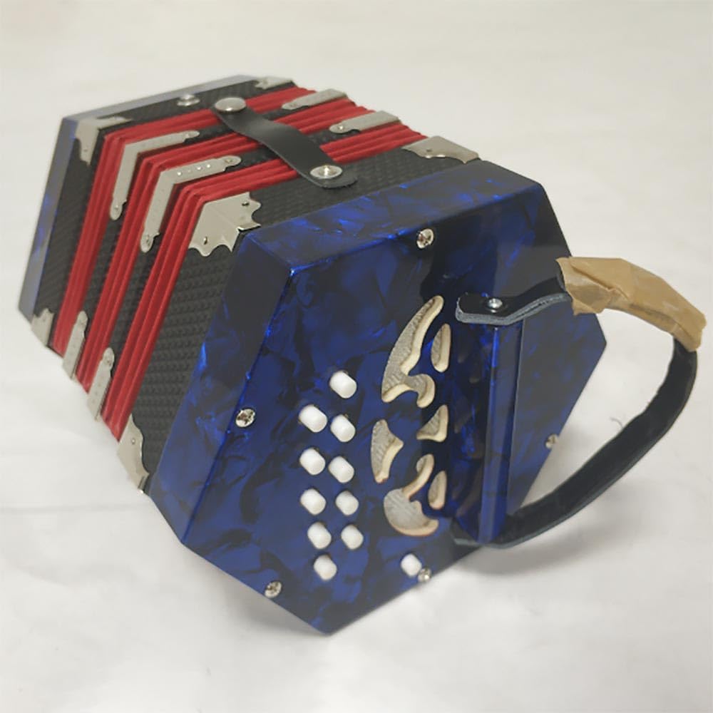 Amazon | 六角形アコーディオン 20キー 40トーン ストラップとキャリー