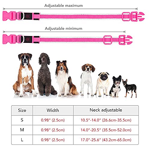 YFbrite Leuchtendes Hundehalsband, wiederaufladbares LED-Hundehalsband, verstellbares reflektierendes Hundehalsbands, Sicherheit leuchtet bei Nacht (Rosa, L)
