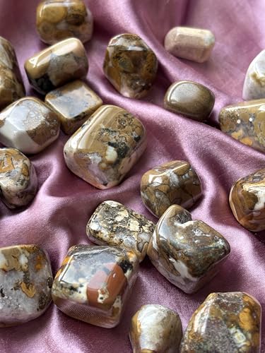 Image of Tumbled Stones, Natural Crystal Healing Stones, Home Office Decor, Aquarium Decorative Pebbles, Vase Fillers (Cobra Jasper, 100)