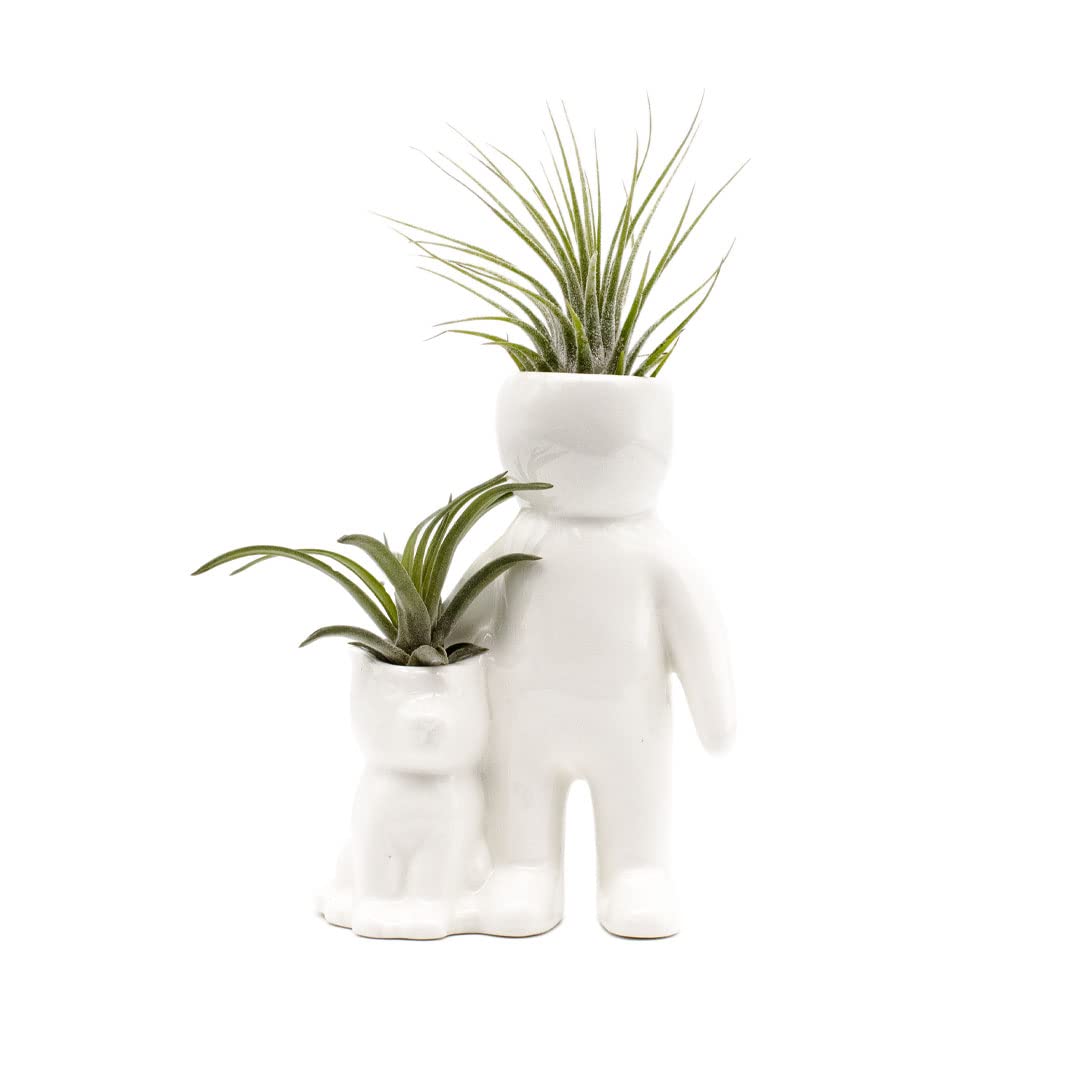 Person with Cat Ceramic Air Plant Holder with Two Live Air Plants