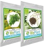 Semillas de finas hierbas comestibles certificadas BIO por WePlant, una marque suiza: Certificación Ecológica en Alemania