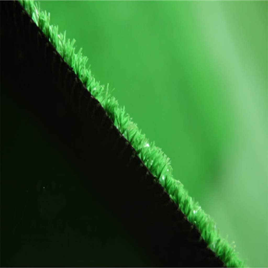 Artificial Grass 10mm Pile High Plastic Green Grass Rug Used for Park Landscape Wall Decorative Faux Turf 2x1m (2x9m)