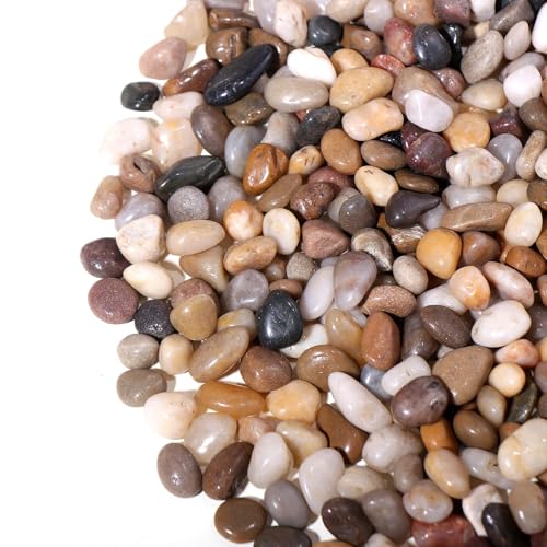 Calofulston Guijarros de 15 libras, guijarros pequeños de 3/8 pulgadas para plantas de interior, bambú, suculentas, jarrón, paisajismo al aire libre, rocas decorativas pulidas para macetas de