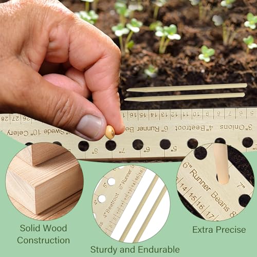 Regla para Plantar y Espaciar Semillas de Madera miniatura 3