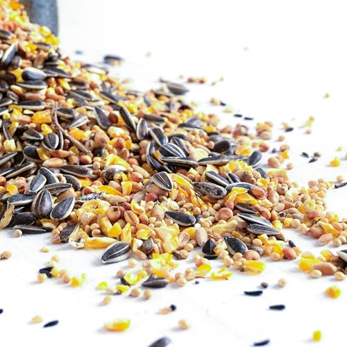 Mezcla de Semillas para Aves BusyBeaks - Trigo, maíz, Sorgo, Girasol y mijo - Alimento nutritivo para Alimentar Aves Durante Todo el año.