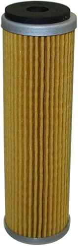 Miniatura 8 de Goten NC250 Filtro de aceite para AJP AKT CSC CYCLONE Fantic FB Mondial Honley 250 300 450 500 M1NSK TRX300i motocicleta (2 piezas)