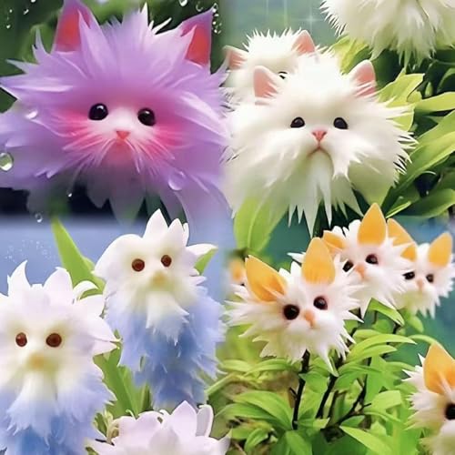 ZXZHYiYao 100pcs10 farbige Mischkatze Orchideensamen, Orchideensamen,...