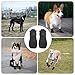 4 Stück Hundeschuhe Pfotenschutz Hunde Schuhe Outdoor atmungsaktiv Hundeschuhe Hundesocken Anti Rutsch für Füße mit Einer Breite von ca. 5,6 cm XL