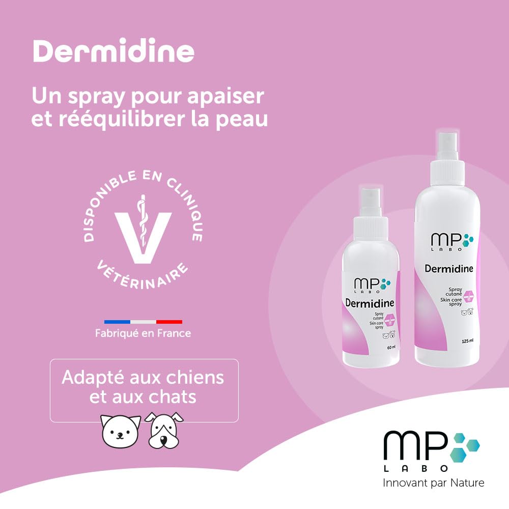 MP Labo Dermidine - Spray pour l'Hygiène Cutanée pour Chien et Chat à Base de Calendula et de Centella Asiatica pour Un Effet Calmant, Emollient et Hydratant (125 ML)
