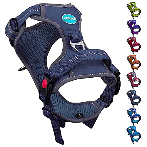 The 11 Best EscapeProof Dog Harnesses [2023 Reviews]