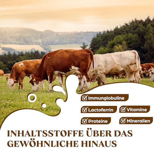 Liposomales Colostrum Pulver 2500mg, 60% IgG Hochdosiertes Kolostrum, Bovine Colostrum Pulver from Grass-Fed, 5X Konzentration Immunoglobuline, Reines, Ohne Zusätze